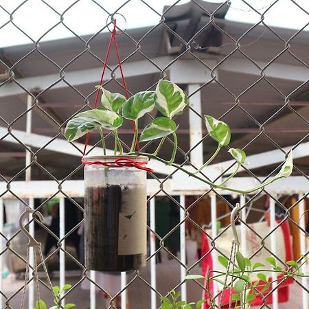 Kalon Homestay, Hai Ba Trung, Hn Hanoi Eksteriør bilde