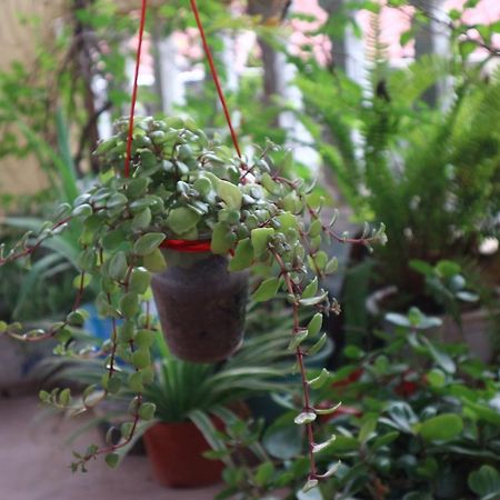 Kalon Homestay, Hai Ba Trung, Hn Hanoi Eksteriør bilde
