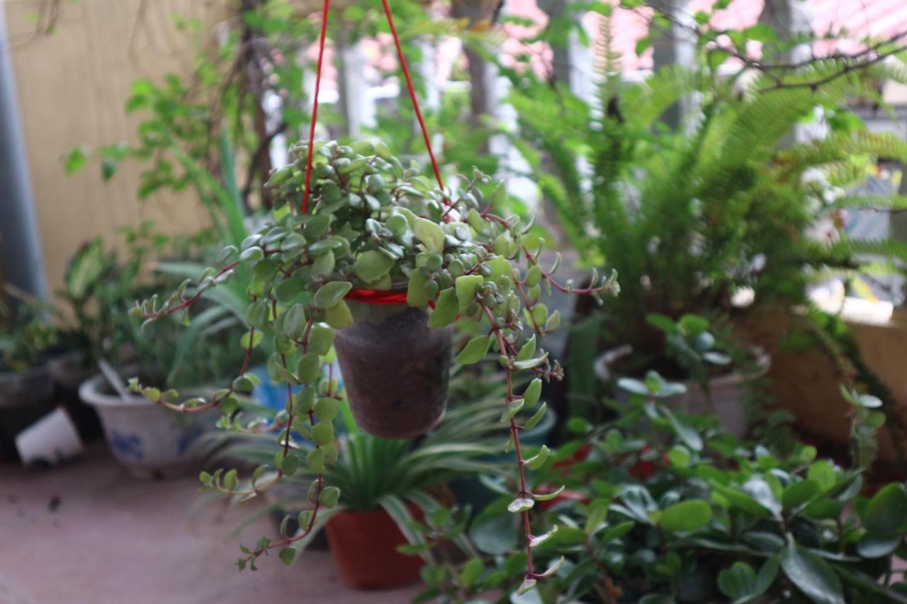 Kalon Homestay, Hai Ba Trung, Hn Hanoi Eksteriør bilde